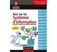 Tout sur les systèmes d'information - 4e éd. - Grandes, moyennes et petites entreprises: Grandes, moyennes et petites entreprises