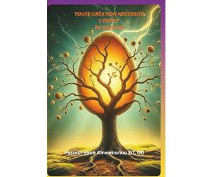 TOUTE CRÉATION NECESSITE L’ESPRIT DE SAGESSE