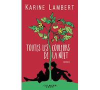 Toutes les couleurs de la nuit - Karine Lambert - Calmann-Levy - broché - Roman