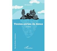 Toutes sortes de bleus - AD Salamin - L'harmattan - broché - Roman