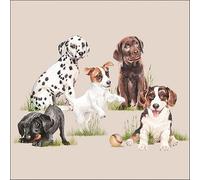 Lot de 20 serviettes en papier avec motif animaux de race de chien dans l'herbe Convient également pour le découpage et la technique des serviettes 33 x 33 cm