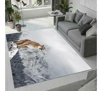 Tovast Tapis Léopard Salon Chambre 100x150 cm Duveteux Doux Confort Tapis Animal 3D Lavable Antidérapant Poil Ras Moquette pour Chevet Couloir Intérieur et Extérieur Rug Décorer(Image 8-16)