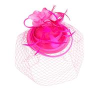 TOVINANNA Fascinator Mariage Élégant Plumes Et Voilette Accessoire De Teatime Clip Et Bandeau Pour Et Cocktails