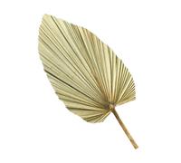 TOVINANNA Feuille de Palmier Séchée Naturelle Vert Olive 1 Pièce Décor Mariage Champêtre pour Arche, Décoration Intérieure, Bouquet de Fleurs Séchées, Ambiance Rustique et Authentique