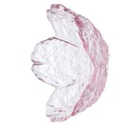 TOVINANNA Lot de 2 Petites Assiettes Transparentes en Verre Martelé, Motif Fleurs de Cerisier à Cinq Pétales Fendues, Plats D'assaisonnement Polyvalents pour Sauces, Condiments et