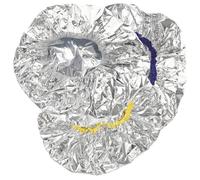 TOVINANNA Lot de 3 Bonnets de Coloration pour Cheveux 30 CM en Papier d'Aluminium Élastique Chapeaux Chauffants Revitalisants pour Profond Adaptés Salon de Coiffure et Couleur Aléatoire