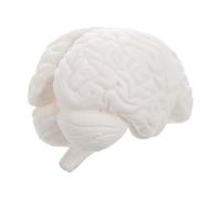 TOVINANNA Modèle Cerveau Humain Anatomique Détachable avec Base Exposition Représentation Fidèle des Hémisphères et Tronc Cérébral Outil Pédagogique Scientifique pour Écoles et Recherche