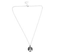 TOVINANNA Pendentif Urne Funéraire avec Collier pour Cendres de Souvenir pour Hommes et Femmes