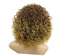 TOVINANNA Perruque Courte Bouclée Marron Et Blonde Pour Femmes Synthétique Résistante Chaleur Confortable Et Naturelle Cosplay Et Usage Quotidien