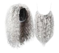 TOVINANNA Perruque et Barbe de Magicien Gris Long pour Déguisement Halloween Accessoire de Cosplay pour Fête et Photographie
