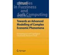 Towards An Advanced Modelling Of Complex Economic Phenomena