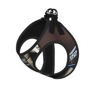 Tower Bridge In London Ensemble harnais réfléchissant réglable pour chats, chiens et petits animaux de compagnie, gilet de marche en maille douce et respirante avec laisse anti-évasion