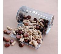 Tower Panier de friteuse à air, cage à tambour rotative en acier inoxydable, panier de rôtissoire en maille, pour café, noix de barbecue, noix de noyer (C: 14 x 14 x 23 cm)