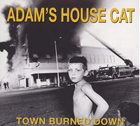 Town Burned Down