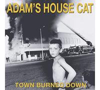 Town Burned Down
