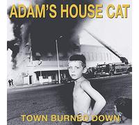 Adams House Cat - World Burned Down