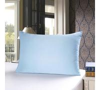 townssilk Taie d'oreiller en Soie, 100% Soie de mûrier Naturelle 19 Momme, Deux Faces en Soie, certifiée Oeko-Tex, Douce pour la Peau et Les Cheveux, 1 unité,50x80cm,Bleu Glacier
