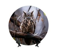 TOXOCMDKLE Assiette décorative de 15,2 cm en porcelaine anglaise avec présentoir hibou sur une branche - Assiettes décoratives en céramique pour le salon