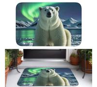 TOXOCMDKLE Paillasson antidérapant en velours avec motif ours polaire - Lavable en machine - Intérieur et extérieur - 40 x 60 cm