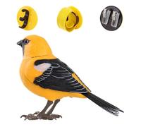 Toy Bird, Toddler Birds, Desktop Realistic, Talking Electronic, Interactive Pet Toy for Sensory Play Birthday Outdoor Room Decor Party Favors Kindergarten, Colorful Sound Feature, Educational Fun Use