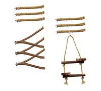 TOYANDONA 10 Pièces Support de Perchoir pour Oiseaux Lot de Bâtons Naturels pour Entraînement de Perroquets Éducatif pour Cage à Oiseaux Couleurs Aléatoires Couleur