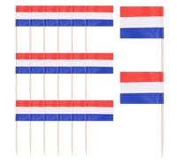 TOYANDONA 100 Pièces Cure-dents à Fruits Drapeau des Pays-, Décorations pour Gâteaux et Cupcakes, Mini Pics Colorés pour Fêtes et Apéritifs, Accessoires de Table Festifs