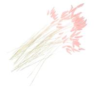 TOYANDONA 120 Tiges de Queues de Lapin Séchées Naturelles Rose, Plante Séchée Décorative DIY, Bouquet d'herbe Pampa pour Décoration Intérieure et Mariage, Composition de Fleur Champêtre