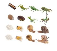 TOYANDONA 16 pièces Modèle Animal pour Maternelle Outil Cognitif Éducatif Couleurs Aléatoires Couleur Aléatoire Couleur Aléatoire