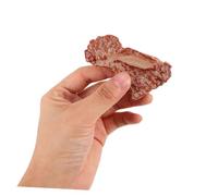 TOYANDONA 18 Pcs Simulation Food Model Prop for Kitchen Decoration Lifelike Meat Models for Photography Creative Crafts and Home Display
