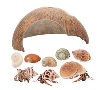 TOYANDONA 1ensemble Refuge Coque De Noix De pour Crabe avec Coquilles De Crabe Abri pour Reptiles Et Tortues Décoration Naturelle pour Aquariums Et Terrariums