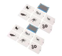 TOYANDONA 2 Ensembles Kit Animation Lenticulaire pour Éducation Stem Précoce Expérience Scientifique DIY pour Garçon Fille et Apprentissage des Illusions Optiques