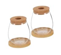 TOYANDONA 2 Ensembles Set de Vases Hydroponiques Borosilicate Transparent avec Support Station de Culture Minimaliste pour Décoration Naturelle pour Bureau et Intérieur