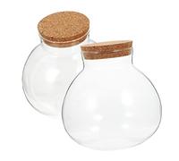 TOYANDONA 2 Pièces Bouteille éco Bouteille de Paysage Terrarium végétal Globe Contenant Micro-aménagement Micro Vase Paysage Pot de Terrarium conteneurs de Terrarium Bocal à Claire Un Verre
