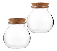 TOYANDONA 2 Pièces Bouteille Éco Terrarium à Jardinière Pot De Mousse Jardinière Succulent Globe Terrarium Végétal Bouteille D'aménagement Paysager De Mousse Bouteille Micro-Paysage Liège