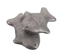 TOYANDONA 2 Pièces Cast Iron Fish Cooking Tool Vegan Iron Supplement For Athletes Pregnant Women Children Daily