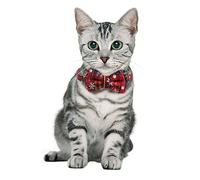 TOYANDONA 2 pièces Collier Chat Réglable de Noël avec Nœud pour Collerette Colorée pour Petits et Moyens Animaux