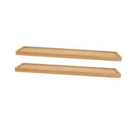TOYANDONA 2 Pièces Plateau Rectangulaire pour Plantes de Sucettes Réutilisables pour Pots Soucoupe de Drainage pour Bonsaïs et Plantes Intérieur