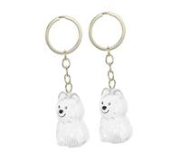 TOYANDONA 2 Pièces Porte-clés Urne pour Poils Animaux Boîte Transparente de Souvenir pour Cheveux de Chien et Chat Accessoire Mémorial Élégant et Sécurisé pour Rangement Personnel