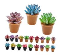 TOYANDONA 24 Pièces Miniature Artificial Succulents in Resin Terracotta Pots Small Fake Potted Plants for Dollhouse Garden Accessories Low Maintenance Greenery Decoration for DIY Crafts and