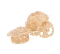 TOYANDONA 24pièces Jouets à Mâcher Luffa pour Hamsters Et Gerbilles Tranches Naturelles De Luffa pour Dentition Accessoires pour Cages De Petits Animaux Jouet à Déchiqueter pour Usure des De