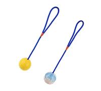TOYANDONA 2pièces Jouet à Mâcher pour Chien Jouet De Dentition pour Chiot Balle De Nettoyage des Dents Lot