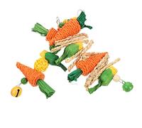 TOYANDONA 2pièces Jouet Suspendu pour Oiseau Intéressant Jouet à Mâcher pour Perruche Et Oiseau Exotique Résistant à Usure Facile à Accrocher