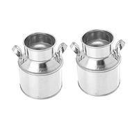 TOYANDONA 2pièces Mini Pot De Fleurs Métal Décoration De Micro- Seau à Fleurs Vintage Ornement De Bonsaï Accessoires Photo pour Bureau Et Maison