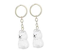 TOYANDONA 2pièces Porte-clés Urne Funéraire pour Animaux Boîte Souvenir Transparente pour Poils De Chien Et Chat Bijou De Crémation Commémoratif