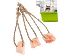 TOYANDONA 3 Pièces Jouets à Mâcher Bloc de Sel pour Petits Animaux avec Corde pour Rongeurs et Écureuils