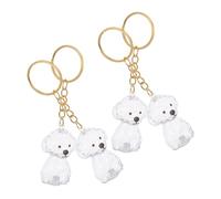TOYANDONA 4 Pièces Pet Hair Keepsake Keychain Transparent Capsule Pendant with Airtight Seal for Hair Storage Lightweight Memorial Ornament for Pet Owners