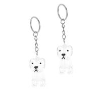 TOYANDONA 4 pièces Porte-clés Souvenir Poils Chien Transparent Boîte Mémoire Forme Chien Collecteur Poils Animaux Accessoire Multifonction pour Propriétaires Animaux