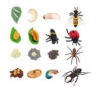 TOYANDONA 4ensembles Kit Éducatif Cycle De Vie Animaux Plastique Modèles Croissance Insecte Coccinelle Araignée Et Coléoptère Jouet Pédagogique Garçon Fille pour Éveil Et Décoration