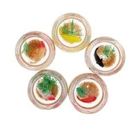 TOYANDONA 5 Pièces Décoration D'aquarium Décoration D'aménagement Paysager D'aquarium Modèle Mini Bol De Poisson Rouge Miniature Petit Aquarium Aquarium Miniature PVC