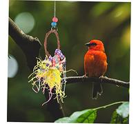 TOYANDONA 5 pièces Jouets à Mâcher pour Perroquets Suspendu Tressé Papier pour Perruches Cockatiels et Oiseaux Interactif Coloré pour Cage